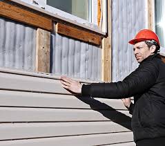 Best Siding Painting and Refinishing  in Petersburg, AK